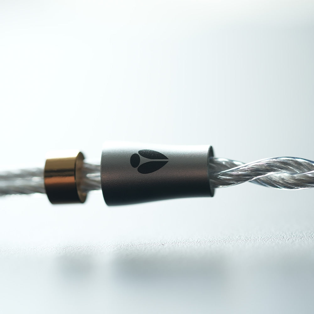 artpical Raphael the cable
